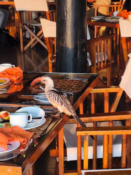 Außenansicht Hotel Diani Sea Lodge