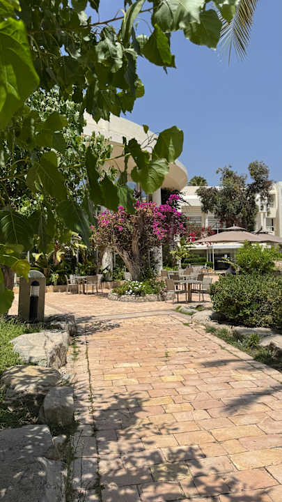 Gartenanlage TUI MAGIC LIFE Africana