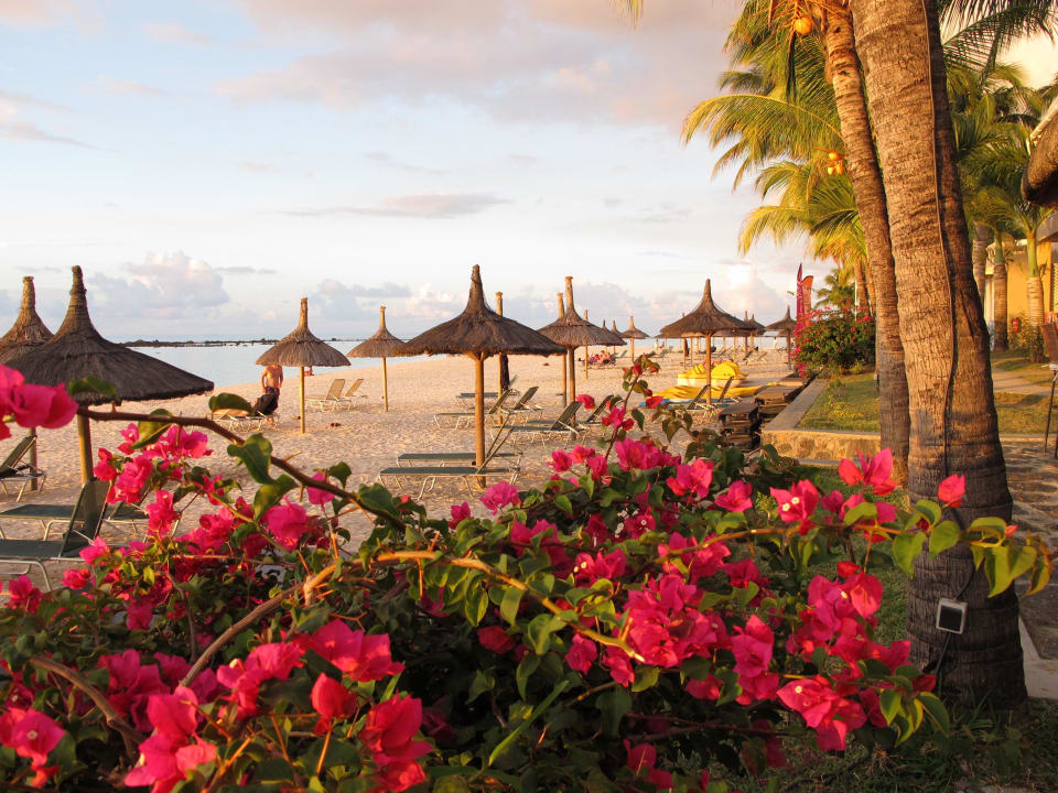 Garten / Strand Hotel Villas Caroline