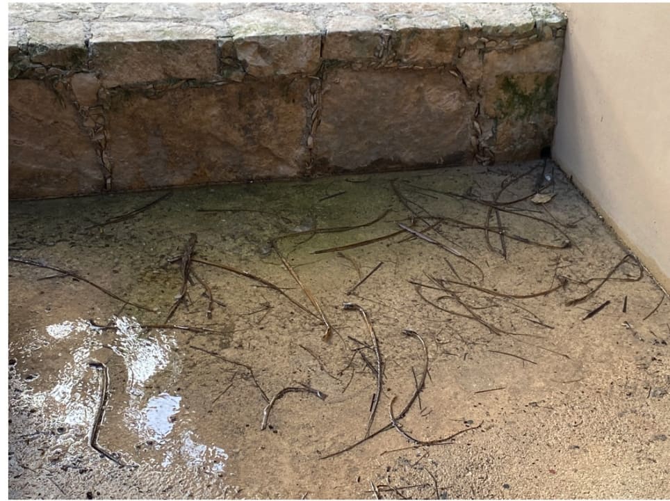 Zimmer Grand Oasis Tulum Riviera - All Inclusive