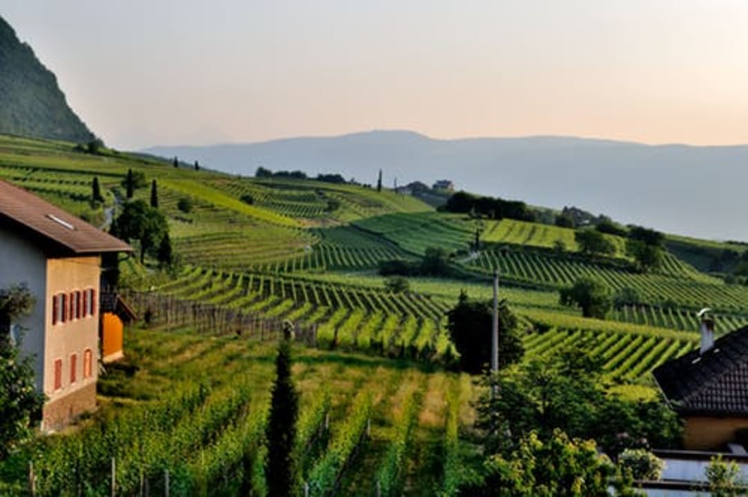 Ausblick Weingut Klosterhof Garni-Hotel