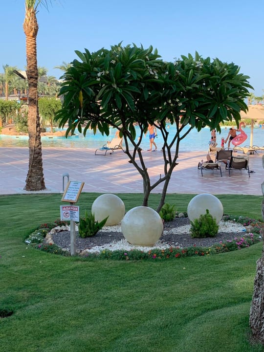 Gartenanlage Pickalbatros Palace Resort