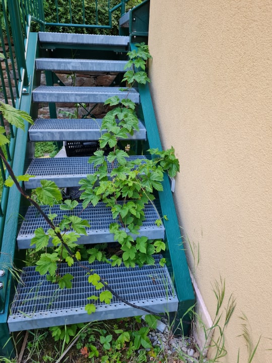 Außenansicht Gästehaus zur schönen Aussicht