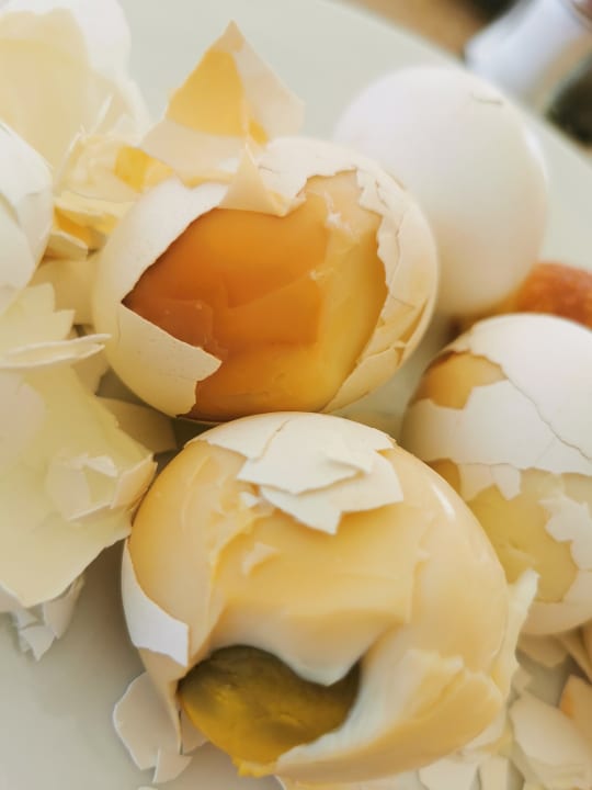 Gastro Casa Mare Resort