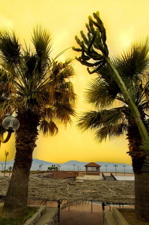 На территории отеля - цветущий сад Hotel Perla del Golfo