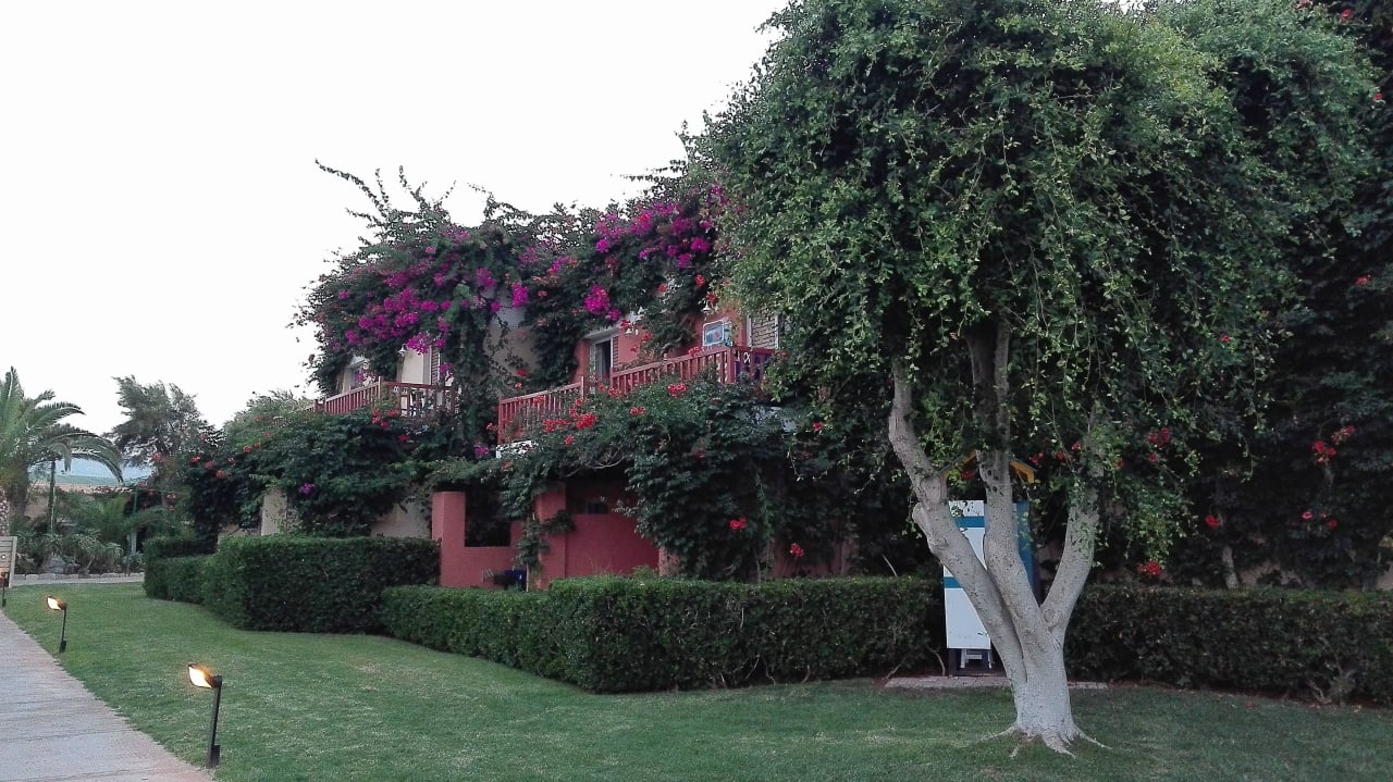 Gartenanlage Anissa Beach & Village