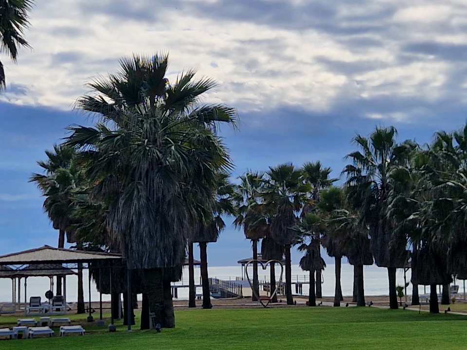 Strand ROBINSON NOBILIS