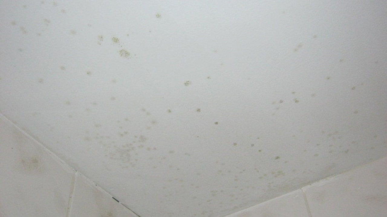 Schimmel an der Badezimmerdecke MPM Hotel Astoria