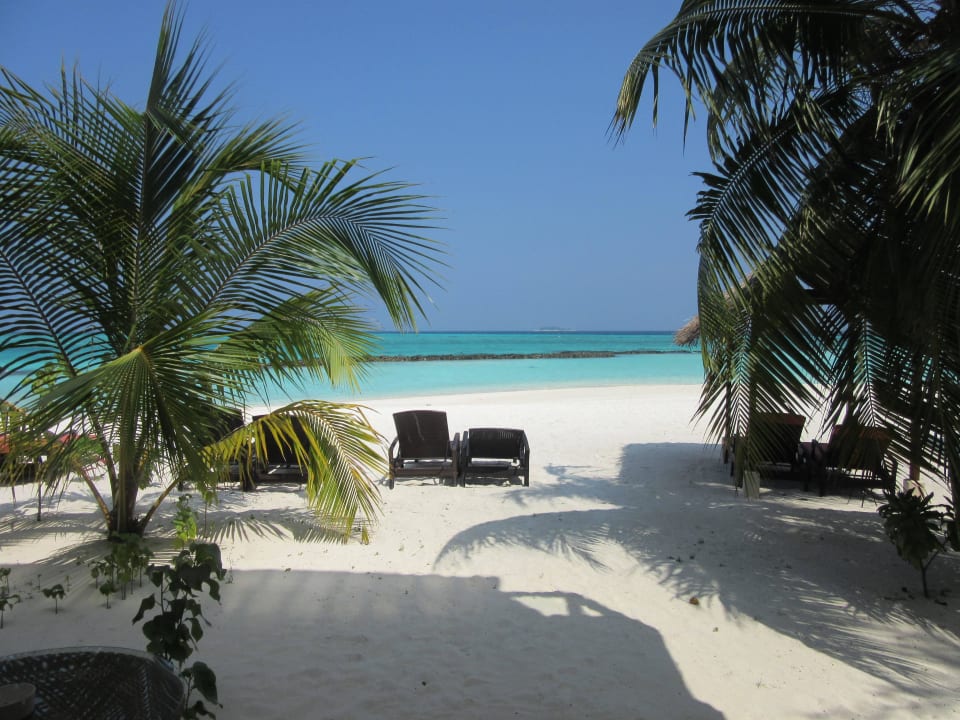 Strand Summer Island Maldives