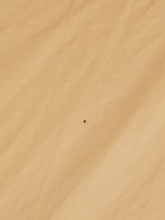 Zimmer Arkona Strandhotel