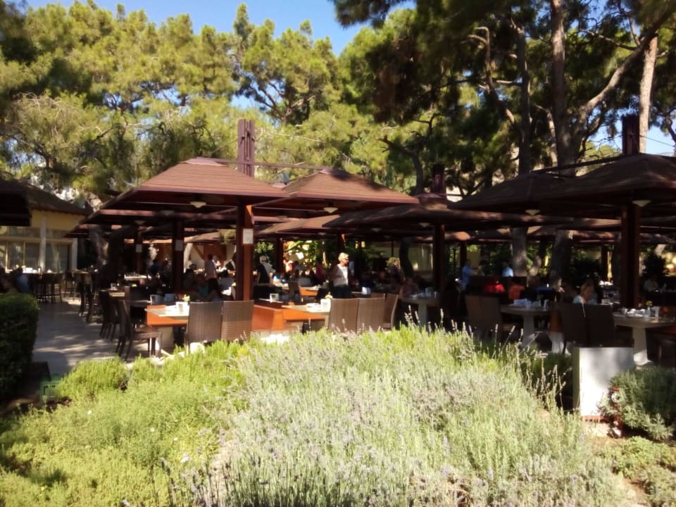 Restaurant ROBINSON ÇAMYUVA