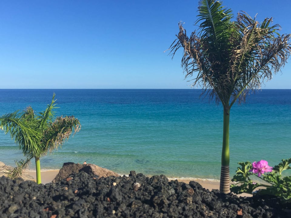 Blick von Liege auf Strand und Meer Royal Palm Resort & Spa - Adults only