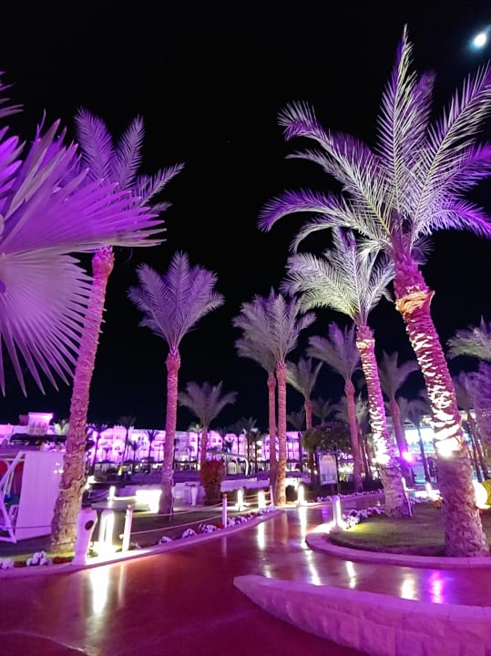 Gartenanlage Pickalbatros Palace Resort