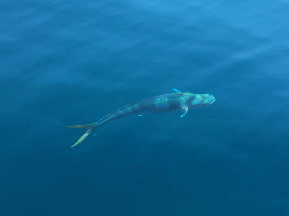 Sport & Freizeit Hillside Beach Club