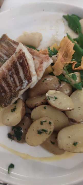 Gastro Hotel Traube am See