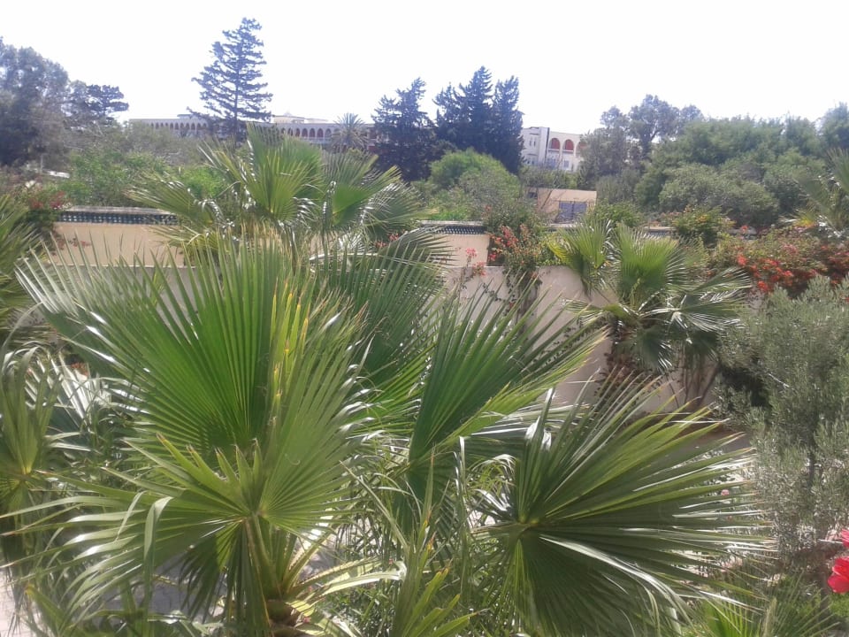 Zimmer Hotel Nesrine