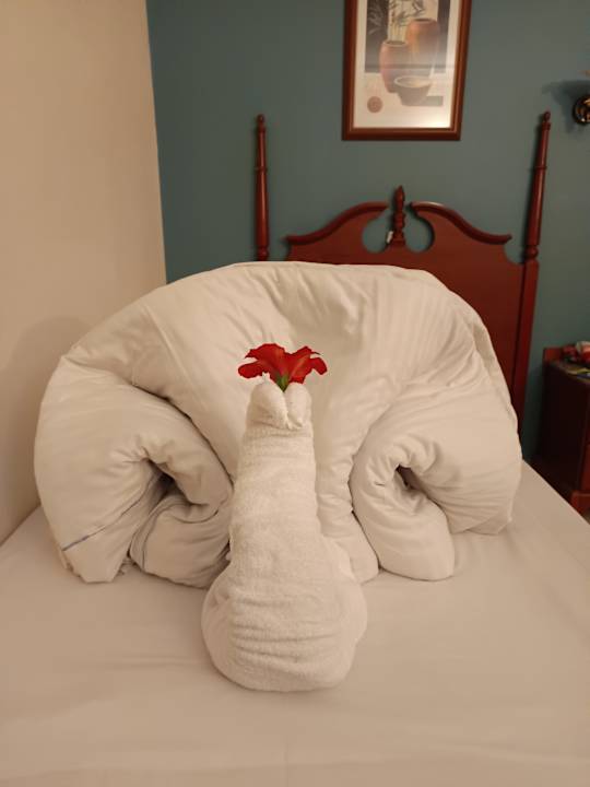 Zimmer Titanic Beach Spa & Aqua Park