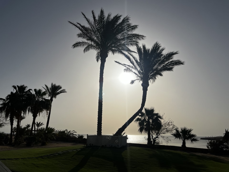 Ausblick Steigenberger Coraya Beach - Adults only