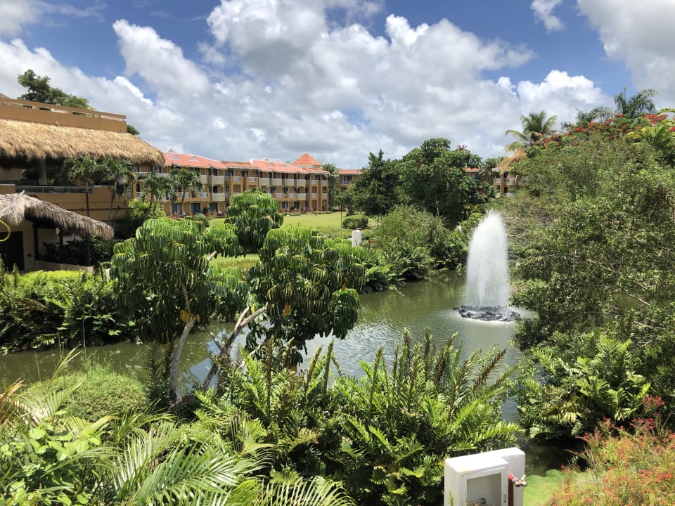 Ausblick Hotel Viva Dominicus Palace by Wyndham-All Inclusive Resort