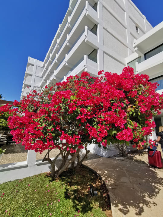 Außenansicht Hotel Grecian Bay