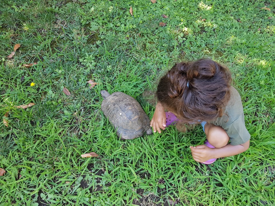 Gartenanlage Megasaray Club Belek