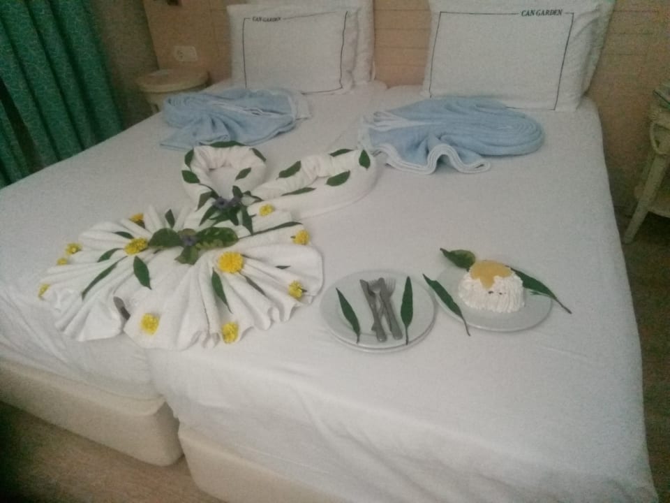 Zimmer Can Garden Beach