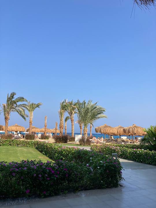 Strand JAZ Elite Riviera