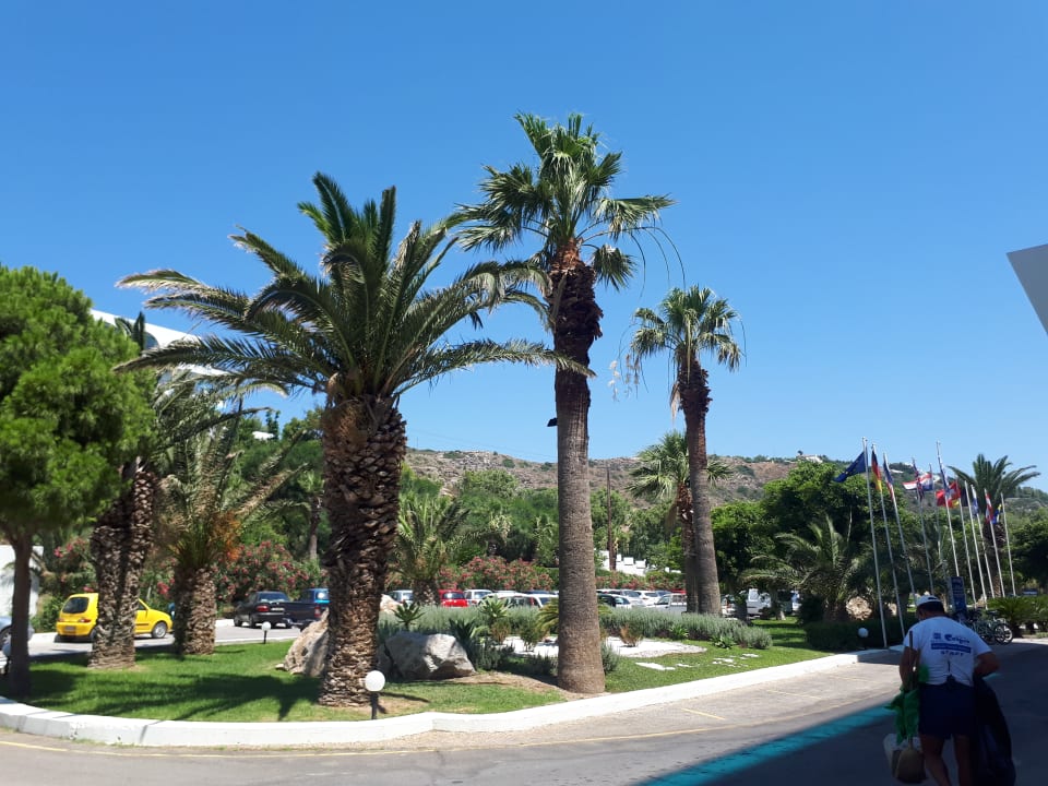 Außenansicht Hotel Calypso Beach