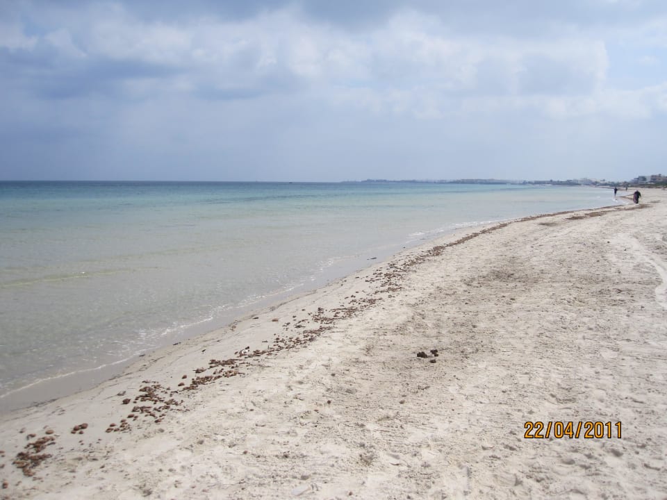 Dreckiger Strand Ruspina Beach Resort