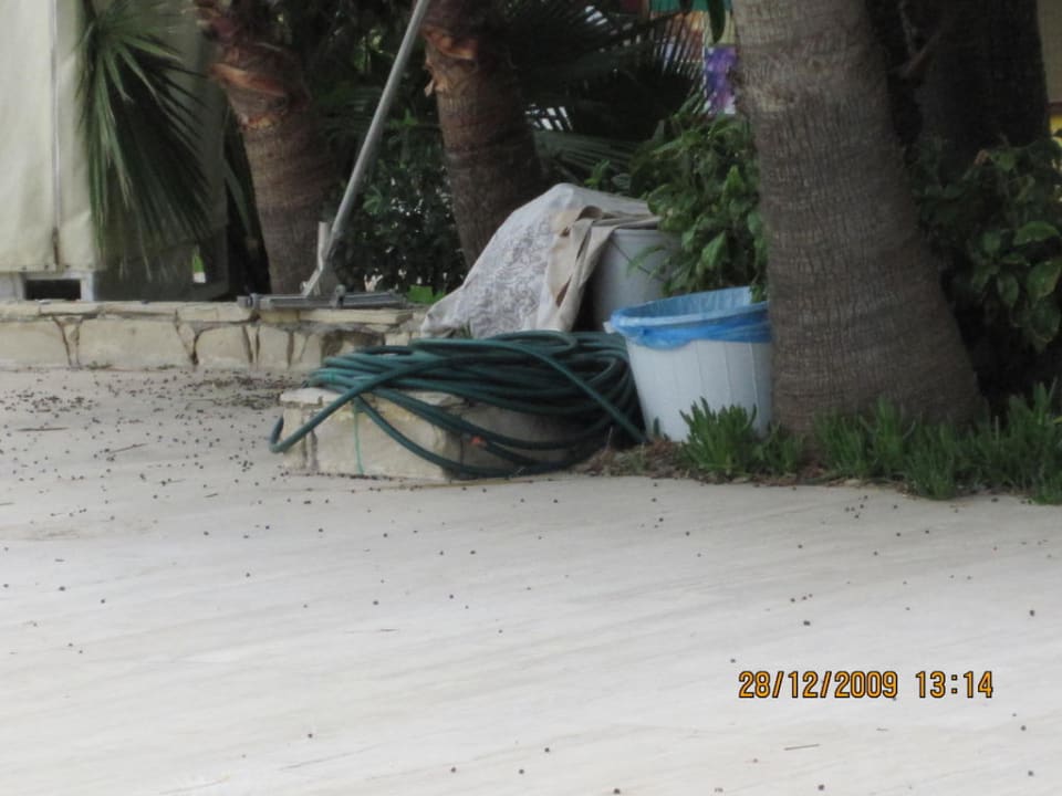 Winter 2009 Labranda Alantur Resort