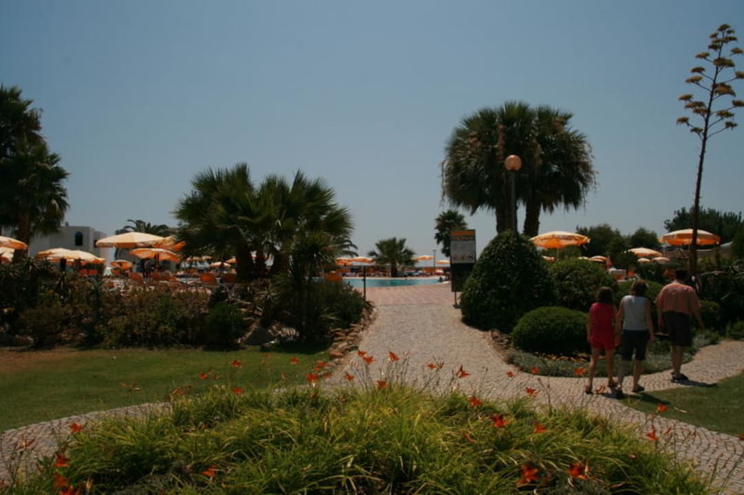 weg zum pool Golden Club Cabanas