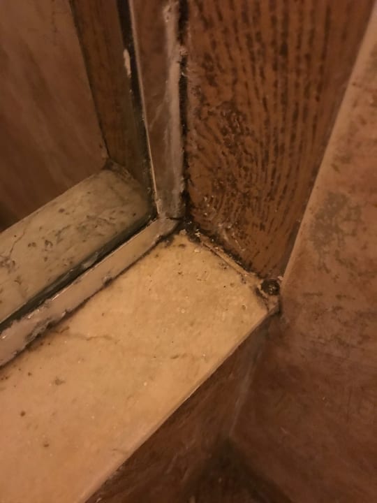 Zimmer Pickalbatros Citadel Resort