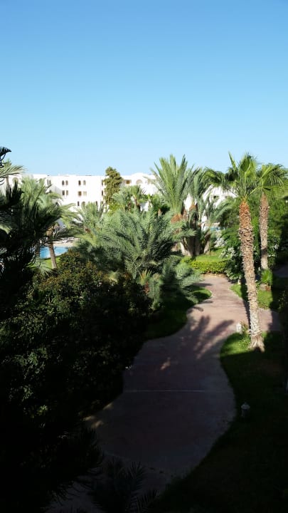 Innenanlage mit Pool Hotel Djerba Resort