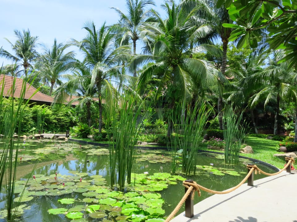 Gartenanlage Bo Phut Resort & Spa