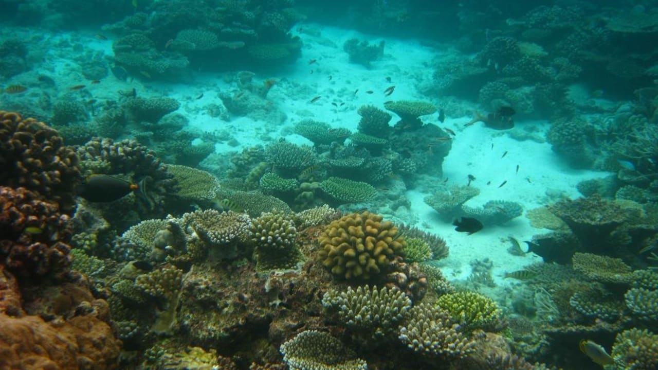 Riff Thulhagiri Island Resort Thulhagiri Island Resort
