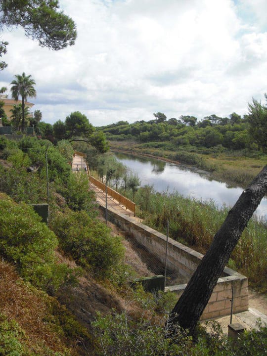 Terrasse Richtung Weg zum Strand Hotel Exagon Park