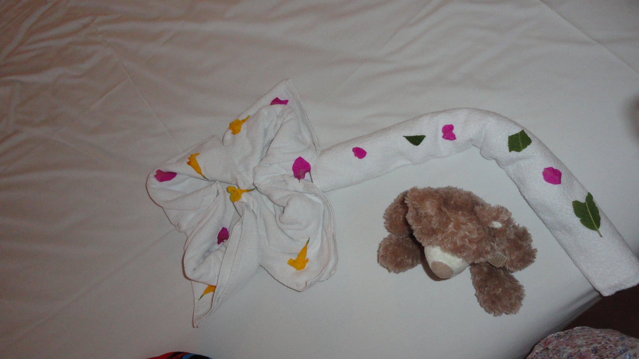 Вот такие прелести нам частенько делали Pickalbatros Aqua Vista Resort - Hurghada