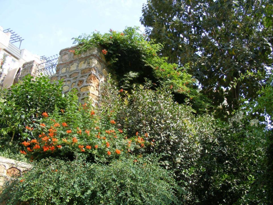 Garten Hotel Club Paradiso