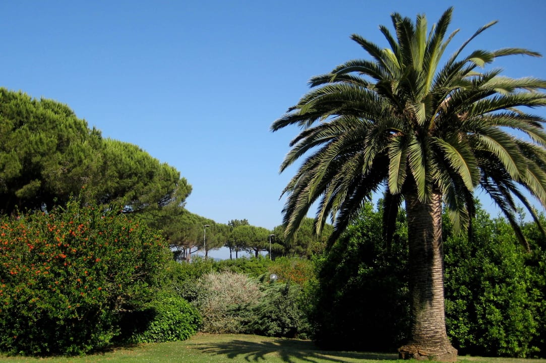 Gepflegte Garteanlage Hotel Fabricia