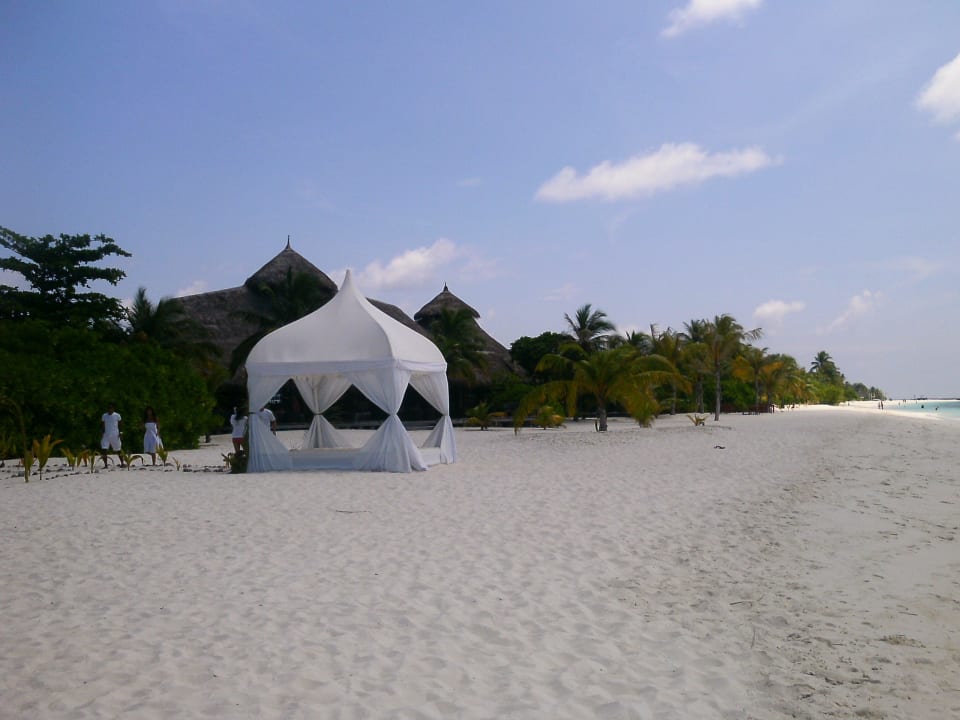 Hochzeitspavillion Kuredu Island Resort & Spa