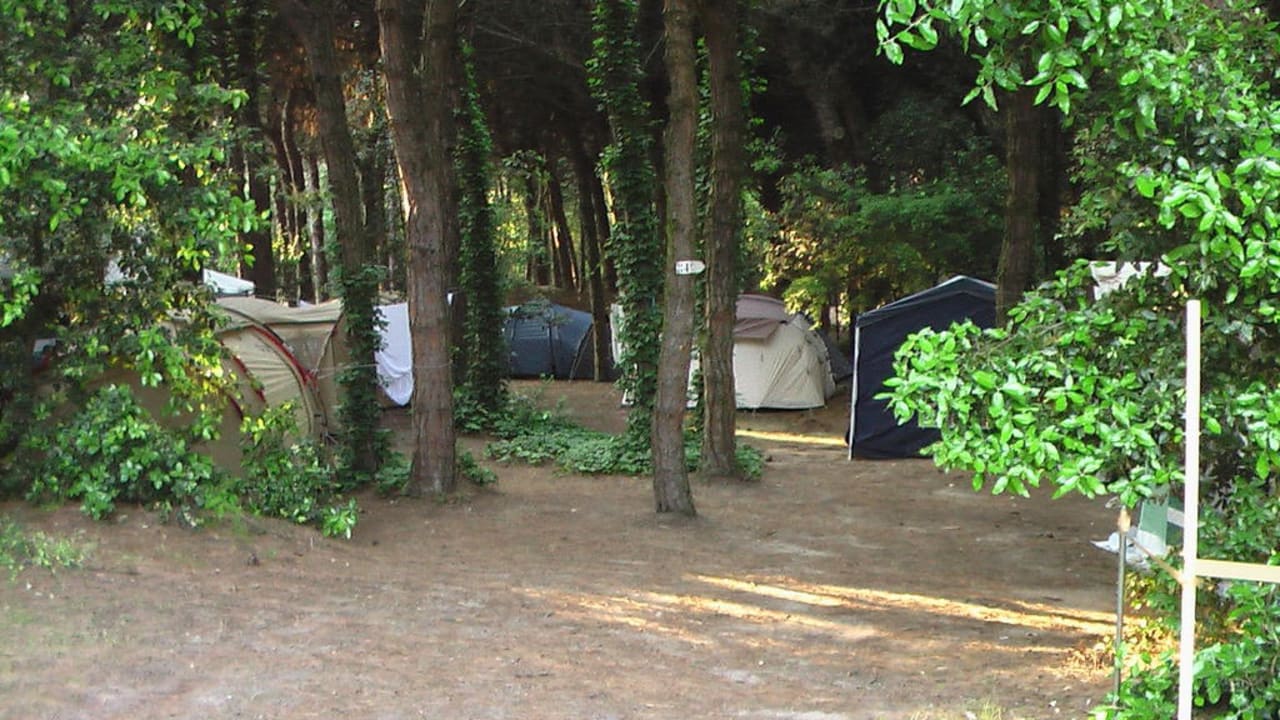 Zeltplätze Rosapineta Camping Village