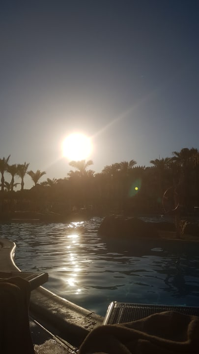 Pool Pickalbatros Palace Resort