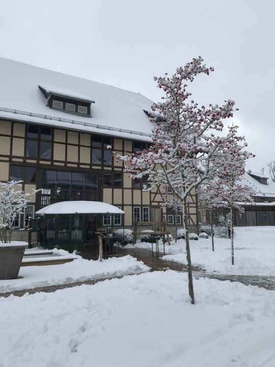 Außenansicht Spa & GolfResort Weimarer Land