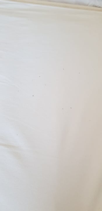 Zimmer Hotel Aktinia