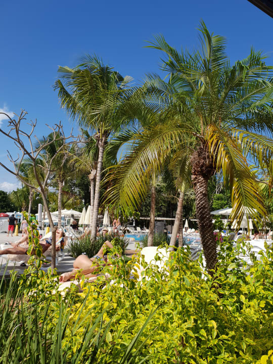 Gartenanlage Hotel Riu Tequila