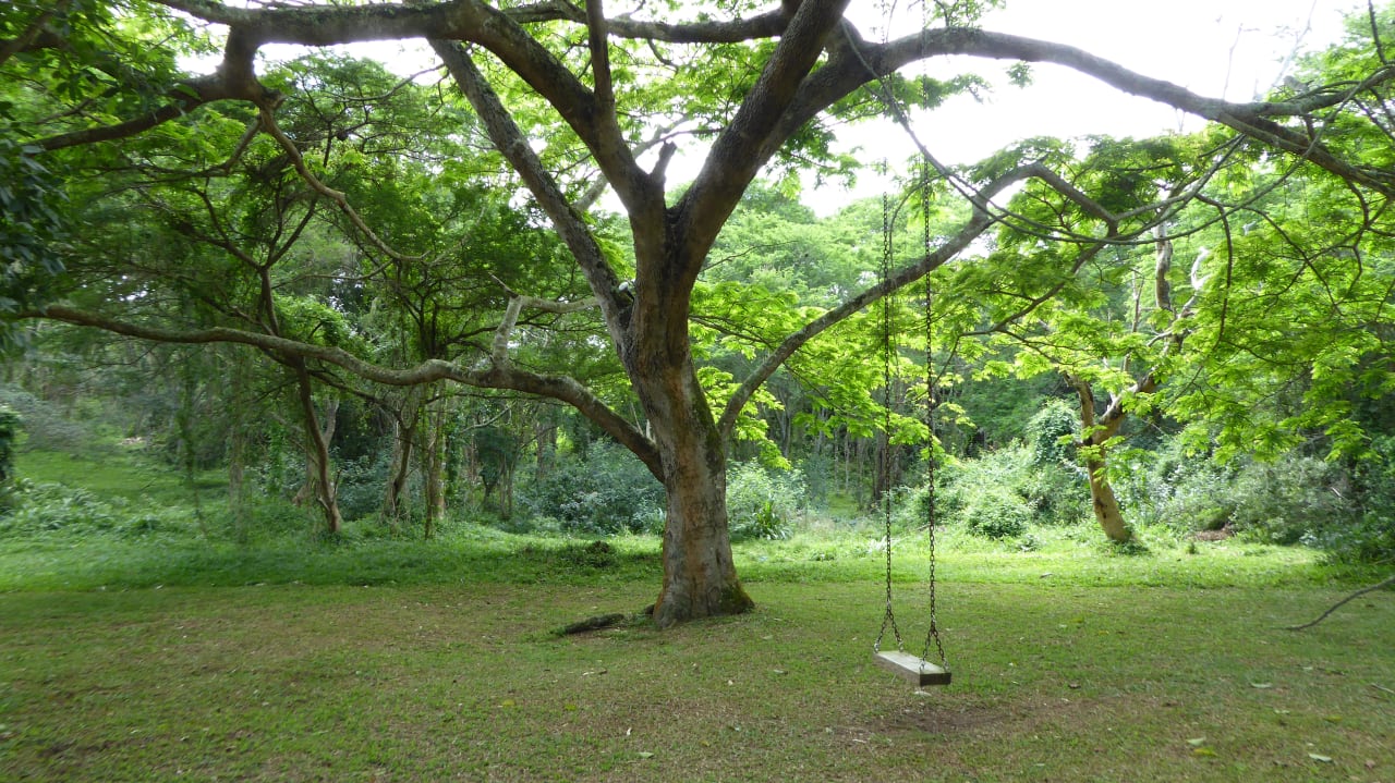 Außenansicht The Sandpiper  Gästehaus