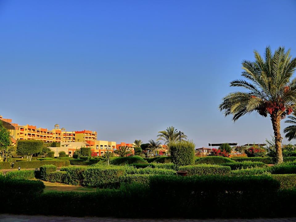 Výhled z pokoje č.1005 Malikia Resort Abu Dabbab