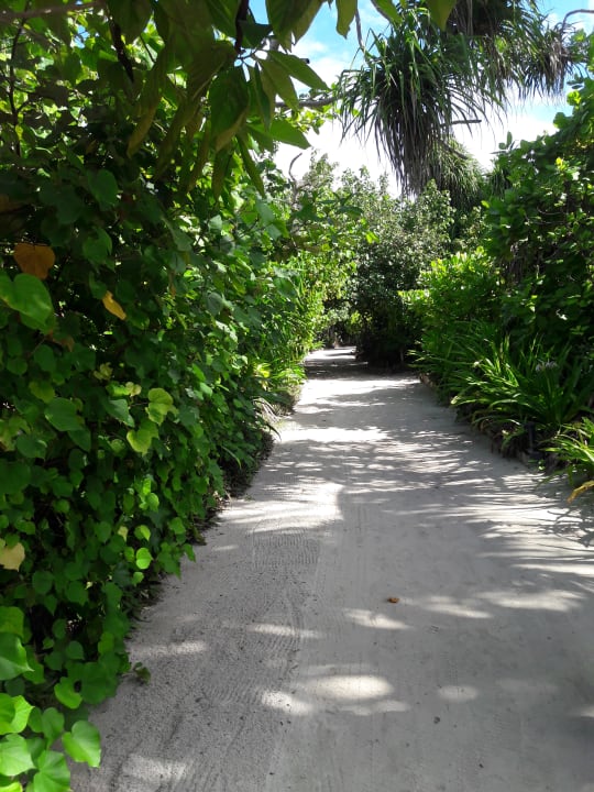 Gartenanlage NH Collection Maldives Havodda Resort