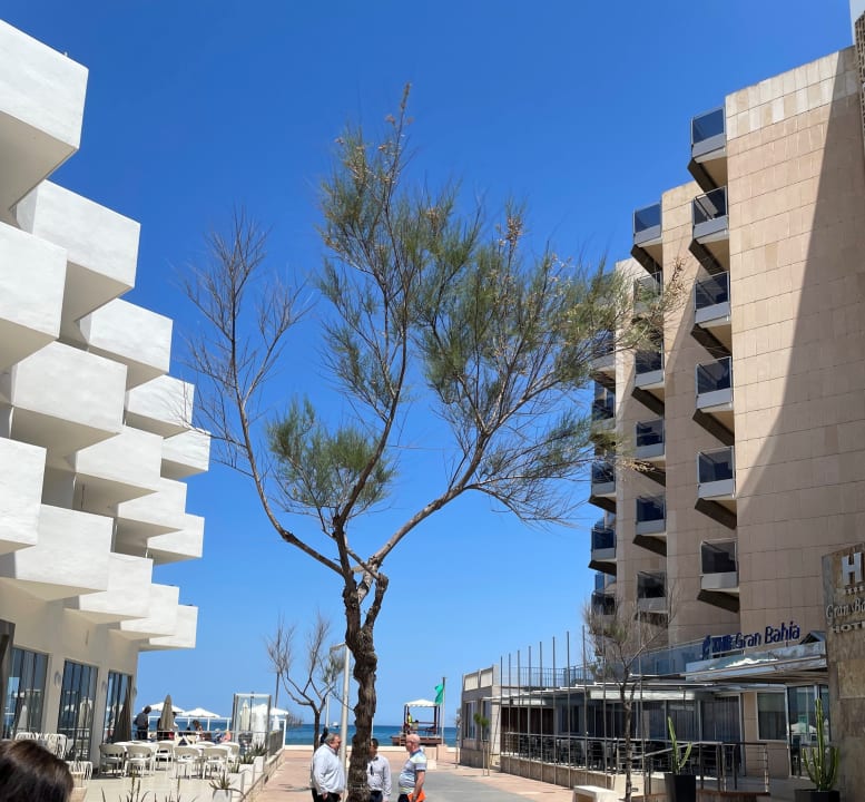 Ausblick THB Gran Bahía