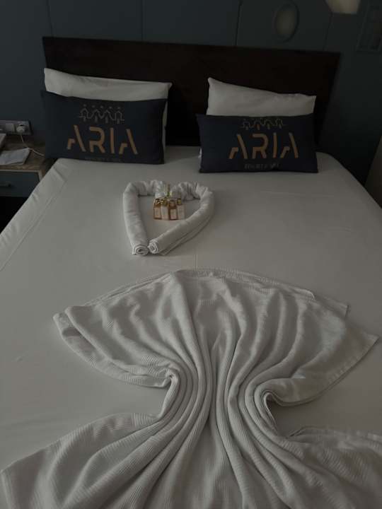 Zimmer Aria Resort & Spa